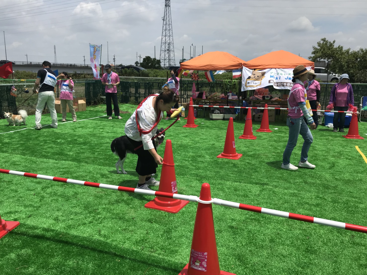 啓発イベントの様子