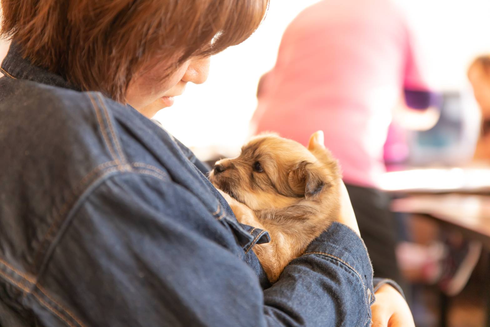 子犬を抱きしめる女性